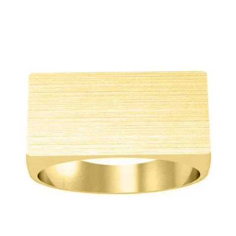 Dazzle In Elegance With Our Biggest Jewelry Sale Wide Rectangular Signet Ring for Men - 24mm x 12mm Dazzle In Elegance With Our Biggest Jewelry Sale Wide Rectangular Signet Ring for Men - 24mm x 12mm